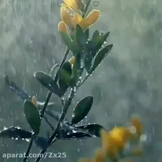 صدقه رو خود خدا میگیره 😍