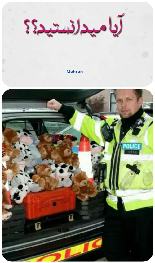 پلیس انگلستان غالبا یک عروسک خرس به همراه خود دارد تا در 