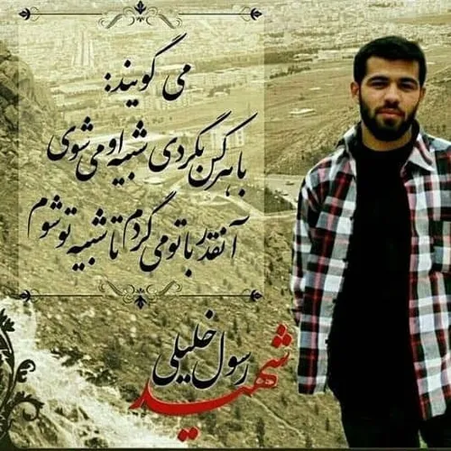 شهدا martyr.darabpour 33251904 - عکس ویسگون