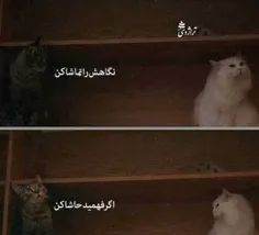 بدون شوخی، نفهمه دوسش داری بهتره😐😂😂