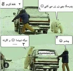 خخخخخخخخخ