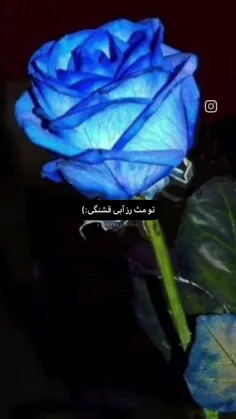 مثل رز آبی دوستت دارم......💙🦋💦