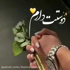 anikaahmadi 46477053