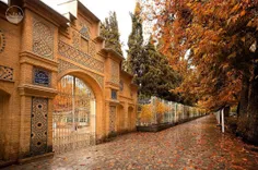 #ایرانگردی تصویری بسیار زیبا از خیابان اِرم شهر شیراز در 