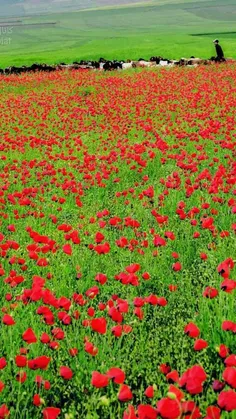 ایران زیبا. استان لرستان