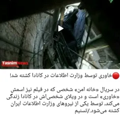 سریال ساختیم و پخش میکنیم که نیروهای اطلاعاتی ایران میرن 