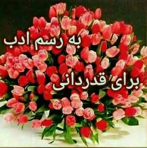 تقدیم به فالورهای عزیزم