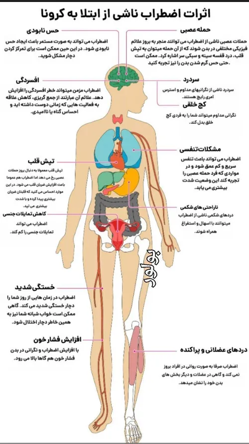 علم و دانش m.serat 28592032 - عکس ویسگون