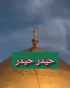 امام باقر(ع)فرمود: فضيلت امير المومنين(ع)اينست كه هر چه آ