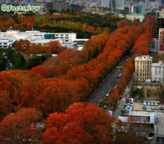 خیابان ولی‌عصر تهران، یکی از باشکوه‌ترین خیابان‌های دنیاس