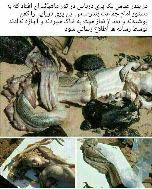 به نظرتون راسته؟