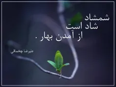 * شمشاد شاد است از آمدن بهار .