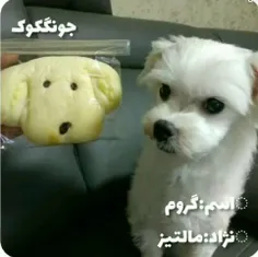 سگ پسرم🤩🤩