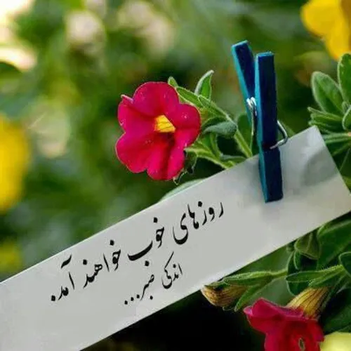 اره خدایی