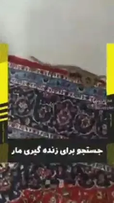 از این خونه میشه ۱۰ قسمت مستند نشنال جئوگرافی ساخت