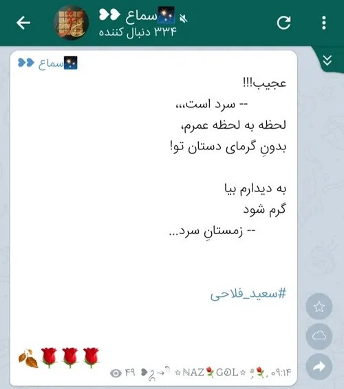 سعید فلاحی