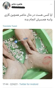 😂😂😂شتر در خواب بیند