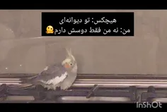 احمق مامانششششش