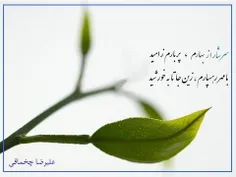 سرشار از بهار