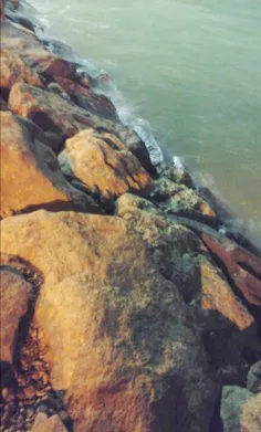 ساحل بندرعباس