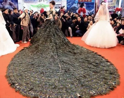 لباس خیلی زیبا که از پر طاووس درست شده