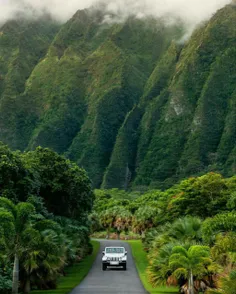 نمایی زیبا اما نفس گیر از یک جاده رویایی در #هاوایی 😍
