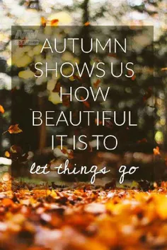 🍁  ‏پاییز نشان میدهد چقدر زیباست که اجازه بدهیم رفتنی ها 