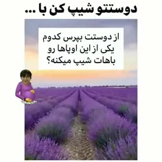 دوستتو شیپ کن با...