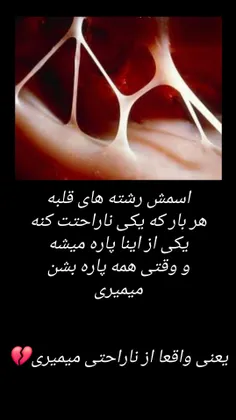 mehrsa_13_0 75190884