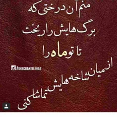 گریه کنم