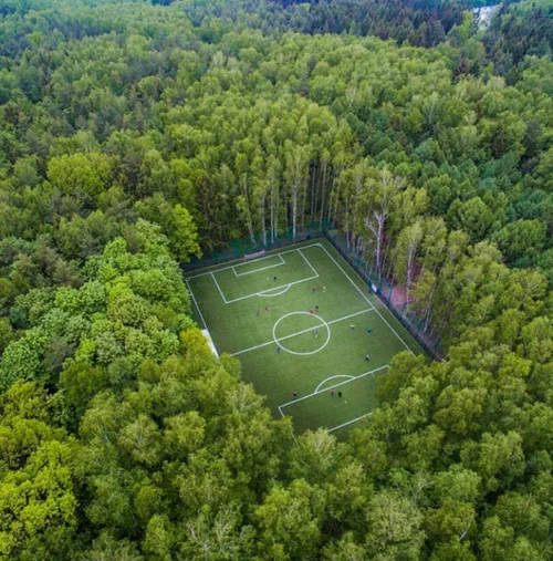 تصویر زمین فوتبال رویایی در جنگل روسیه