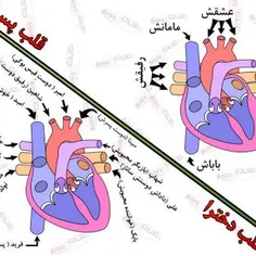 گوناگون mohammad101 838876