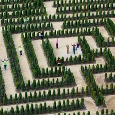 تماشایی‌ترین باغ‌های هزارتوی جهان که هیجان زده تان می‌کند
