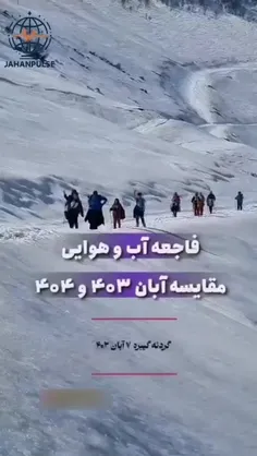 amir13611455 77409248