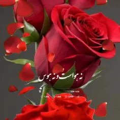 تقدیم به زندگیم🌸🧿❤💞