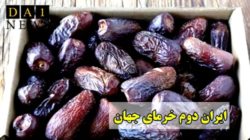 ایران دومین قطب تولید کننده خرما در جهان