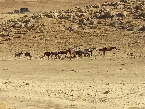 دوستان راهرگزدربدترین حال تنهانگذارید(تنهاگذاشتن دوستان =