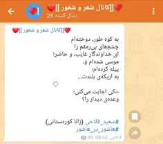 سعید فلاحی (زانا کوردستانی)