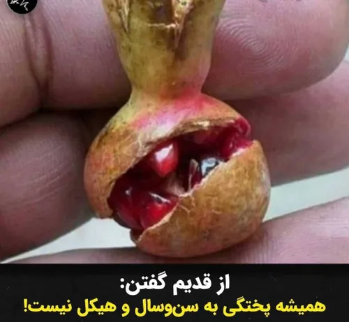 پختگی به ین سال نیست🙃