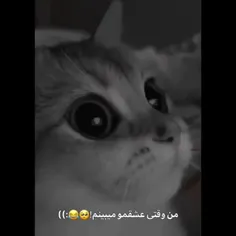 حیح🥺😂