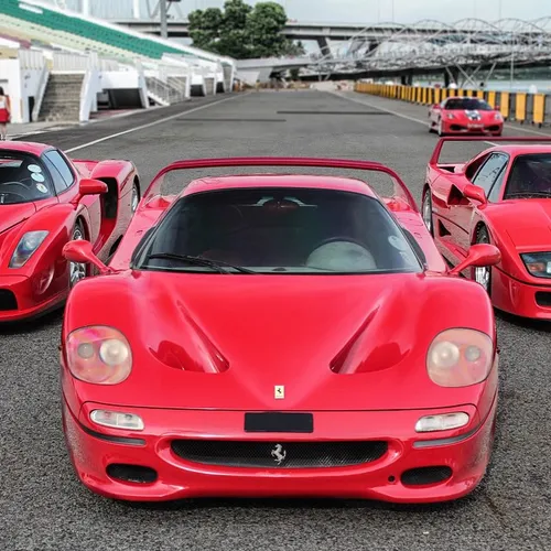 Enzo, F50, F40