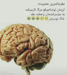 نظرسنجی......