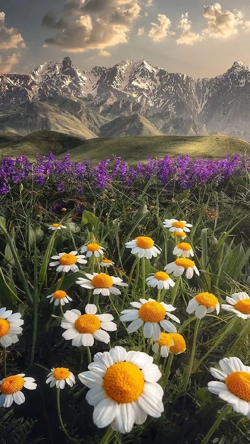 ایران زیبا🇮🇷