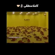 منطقیه🗿