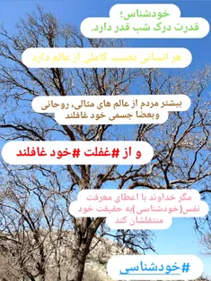 خودشناسی