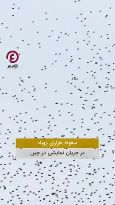 هزاران پهپاد در جریان نمایشی در چین دچار اختلال شده و از 