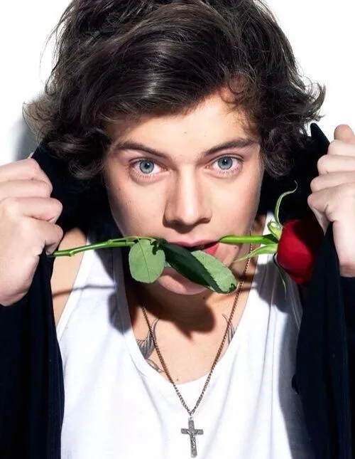 Harry.Styles😍