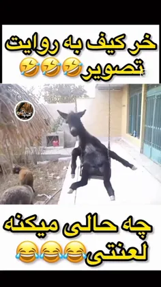 خر کیف به روایت تصویررر🤣🤣🤣🤦✌️