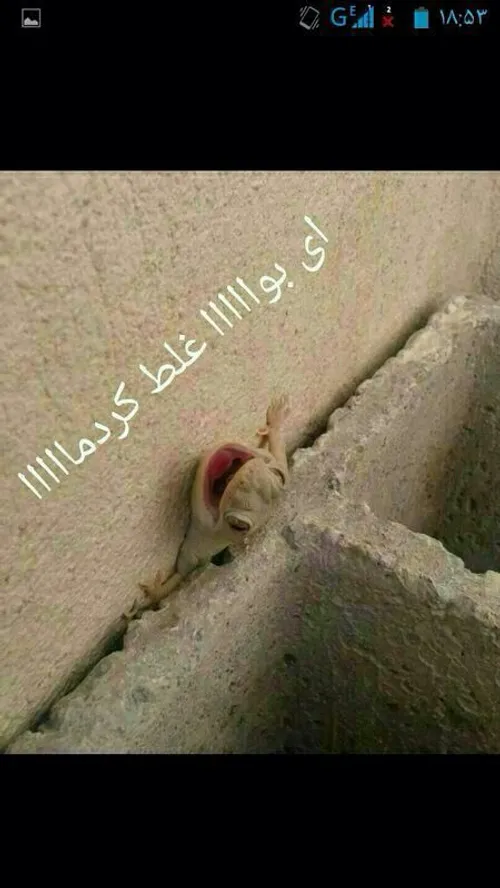 خخخخ....