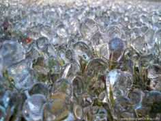 یخ هایی که به شکل حباب بعد از باران روی چمن شکل گرفتند